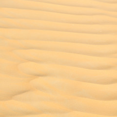 in oman the old desert and the empty quarter abstract  texture line wave