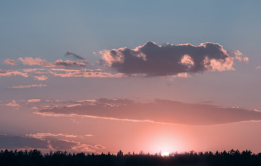 Landscape, sunny dawn in a field