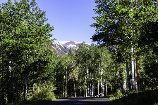 Scenic drive at dawn in Rocky Mountain National Park