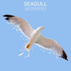Obraz premium Seagull bird low poly design. Triangle vector illustration.