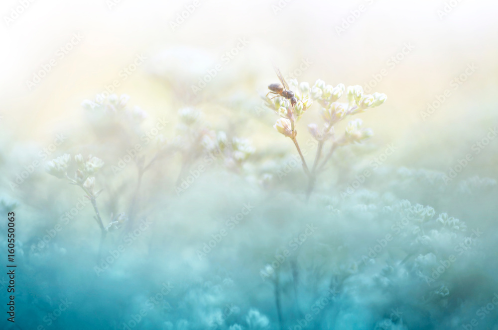 Poster a gentle natural background in pastel colors with a soft focus of blue and beige shades. a flowering