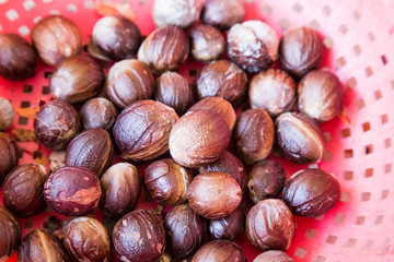 Close-up of fresh nutmeg fruit mace seed