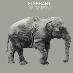 Elephant low poly design. Triangle vector illustration.