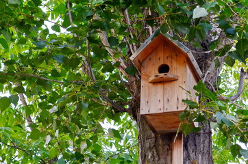 wooden birdhouse on a tree with foliage, background
