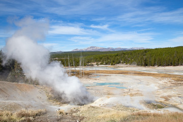 Norris geyser basin