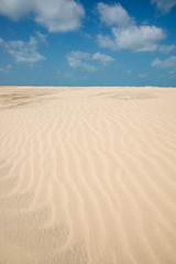 Lines in the sand of a beach