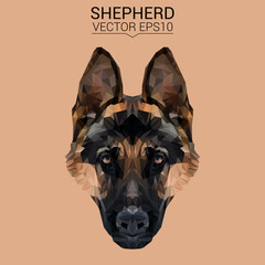 German shepherd Dog animal low poly design. Triangle vector illustration. - obrazy, fototapety, plakaty