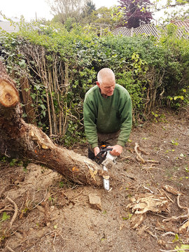 Chainsaw to remove ivy
