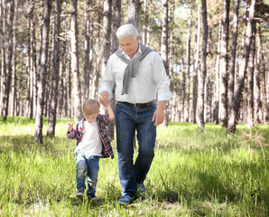 Naklejka na ściany i meble Happy senior man with grandson in forest on sunny day