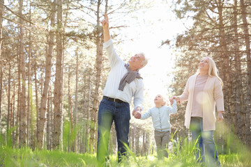 Naklejka na ściany i meble Happy grandparents with little girl in forest on sunny day