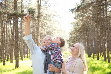 Happy grandparents with little boy in forest on sunny day