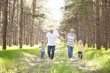 Happy grandparents with little children in forest on sunny day