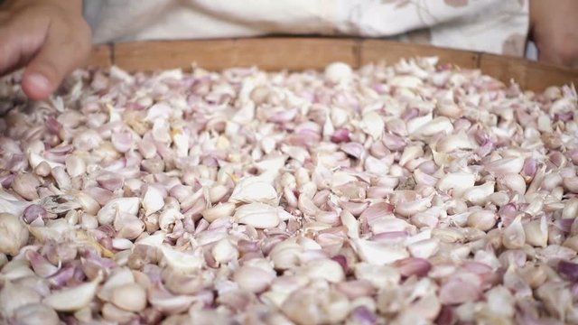 Female touches cleaned garlic in slow motion