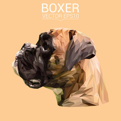 Boxer Dog animal low poly design. Triangle vector illustration.