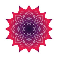 Flower mandala in vector