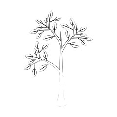 Plant with leaves icon vector illustration graphic design