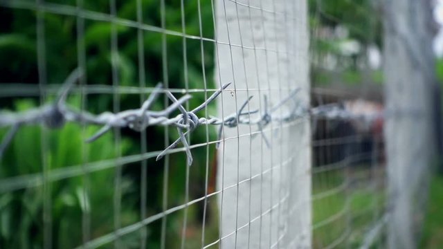 Dolly shot, close-up the iron barbed wire fence