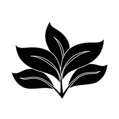 Plant with leaves icon vector illustration graphic design