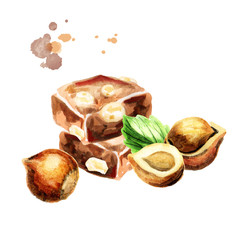 Chocolate with hazelnuts. Watercolor hand-drawn illustration