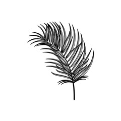 Obraz premium Plant ecology symbol icon vector illustration graphic design