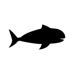 whale marine wildlife water animal silhouette vector illustration
