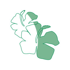 Beautiful flower decoration icon vector illustration graphic design