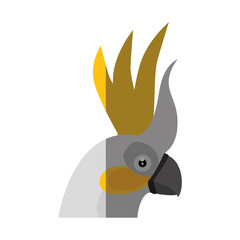 Wild exotic bird icon vector illustration graphic design