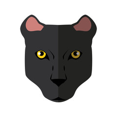 Wild animal jaguar icon vector illustration graphic design
