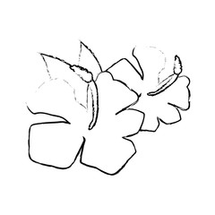 Beautiful flower decoration icon vector illustration graphic design