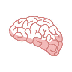 human brain for medical healty design vector illustration
