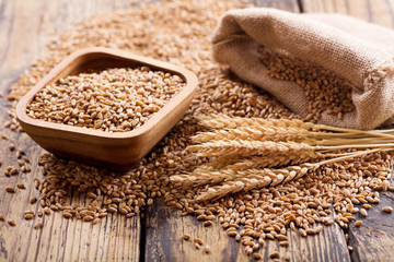 wheat ears and grains