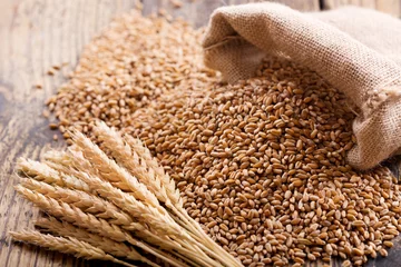 Tuinposter wheat ears and grains © Nitr