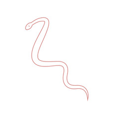 Professional medicine. The sign of Confucius. The internal organs.