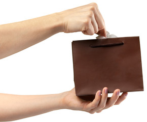 Shopping Bag. Female hand holding shopping bag on white