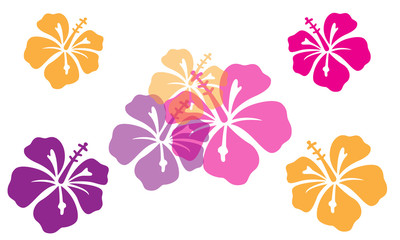 Hibiscus Flowers Vector - obrazy, fototapety, plakaty