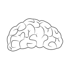 human brain for medical healty design vector illustration