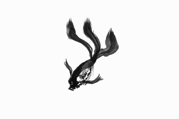 Fototapeta premium Abstract art painting gloden fish life, Chinese Brush style painting golden fish in black and white. isolate fish with white background, include with path file.