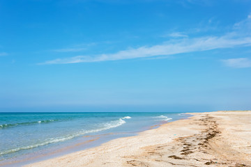 Obraz premium Beach background