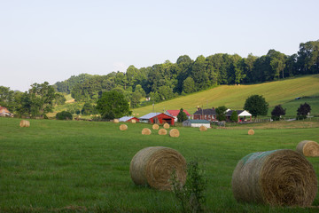 Bright barn in the early morning © Aaron
