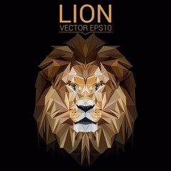 Lion low poly design. Triangle vector illustration. - 160579681