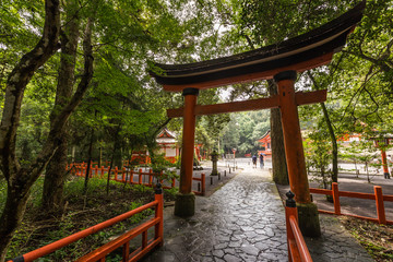 Red tori in Usa Jingu shrine, Oita, Japan