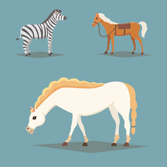 Collection of isolated horses. Cute cartoon horse farm animals. Differend breads