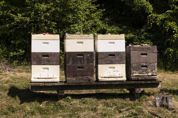 Bienenkörbe im Spessart