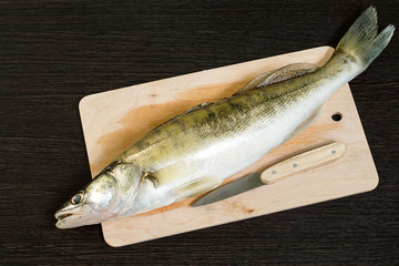 
 Fresh river fish. Raw zander on a kitchen cutting board on a dark background.