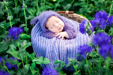 17 day old Smiling newborn baby is sleeping on his stomach in the basket on nature in the garden...