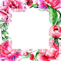 Wildflower peony flower frame in a watercolor style isolated.
