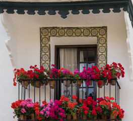 Fototapeta na wymiar Flowers on Balcony