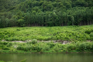 Fototapeta na wymiar River in nature. Slovakia