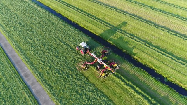 Aerial footage of tractor raking grass flying back left of agricultural machine forming grass windrow rows of hay raked up to dry before being baled or stored also showing long shadows from sundown 4k
