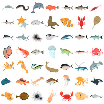 Big color flat sea animals and food icons for web and mobile design